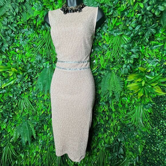 Lovely Grace Dress Small Pink Sleeveless Sparkly Fitted Cocktail Evening 0338 - Picture 4 of 15